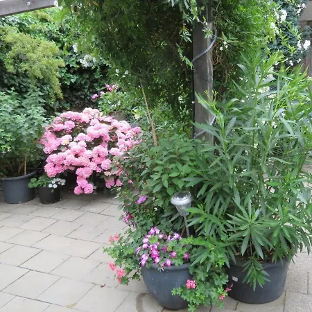 Apartament Ferienwohnung Am Ahornweg *